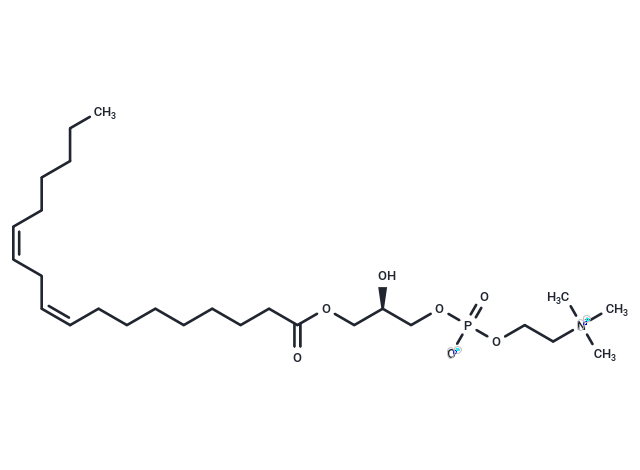 1-Linoleoyl-2-Hydroxy-sn-glycero-3-PC|T36791|TargetMol