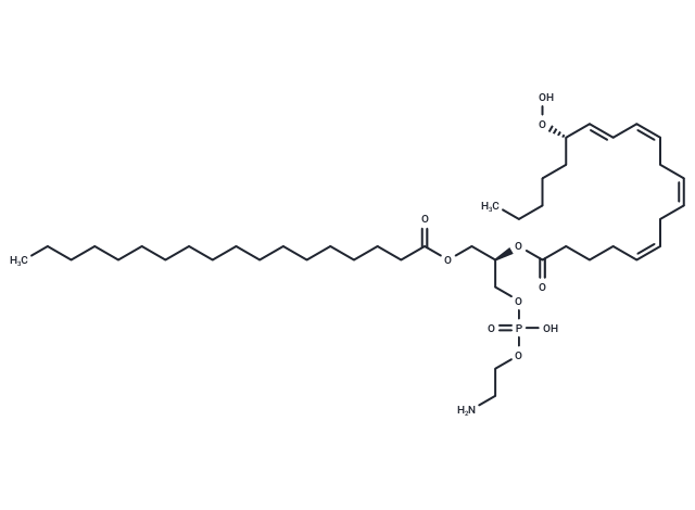 1-Stearoyl-2-15(S)-HpETE-sn-glycero-3-PE|T37487|TargetMol