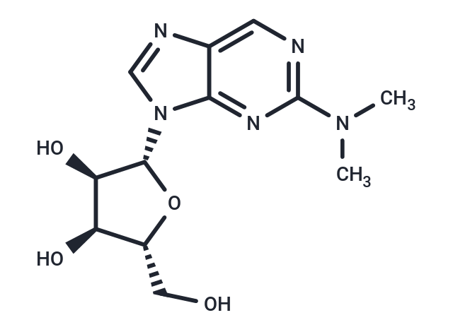 化合物 N2,N2-Dimethylamino-6-deamino adenosine|TNU1644|TargetMol