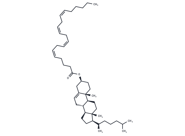 化合物 Cholesteryl arachidonate|T10806|TargetMol