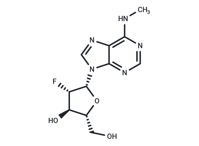 化合物 2’-Fluoro-2’-deoxy-N6-methylarabinoadenosine|TNU0319|TargetMol