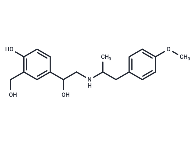 化合物 Salmefamol|T21352|TargetMol