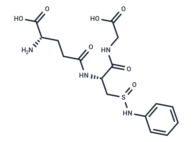 化合物 Glutathione sulfinanilide|T68833|TargetMol