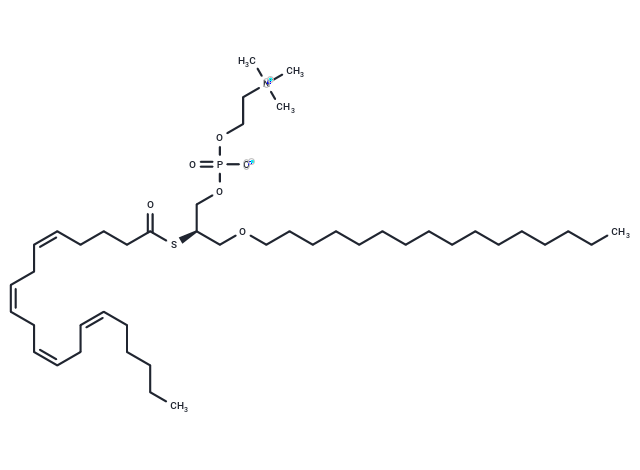 Arachidonoyl thio-PC|T37580|TargetMol