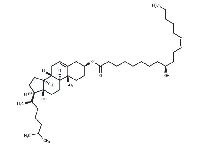 9(S)-HODE cholesteryl ester|T35853|TargetMol