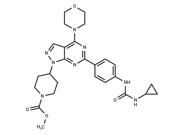 化合物 WYE-23|T71514|TargetMol