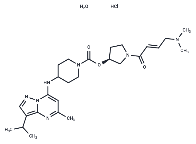 CDK7-IN-2 hydrochloride hydrate|T39864|TargetMol