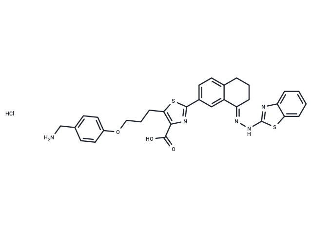 化合物 WEHI-539 hydrochloride|T13337|TargetMol