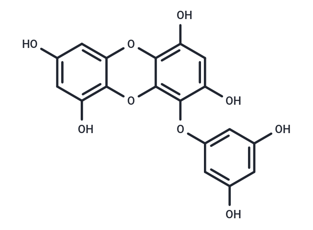 化合物 Eckol|T24025|TargetMol