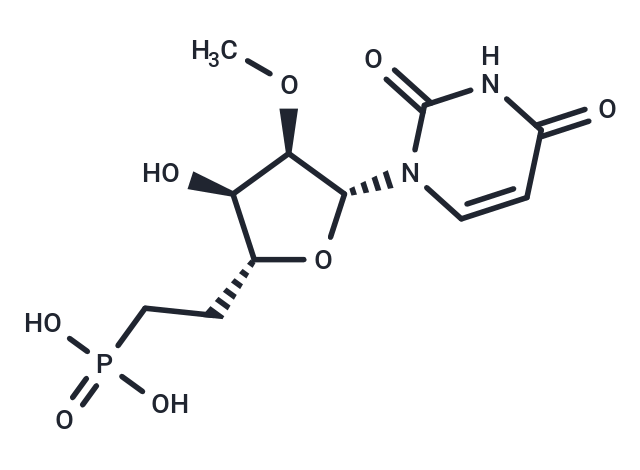 化合物 1-[6-Phosphono-2-O-methyl-β-D-ribo-hexofuranosyl]uracil|TNU1012|TargetMol