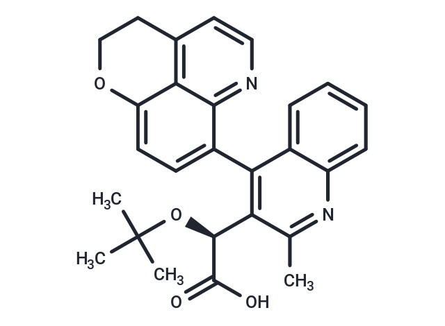 化合物 BI 224436|T14559|TargetMol