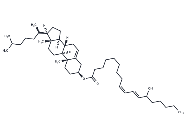 (±)13-HODE cholesteryl ester|T35404|TargetMol