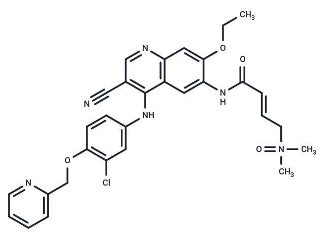 化合物 Neratinib dimethylamine N-oxide|T70830|TargetMol