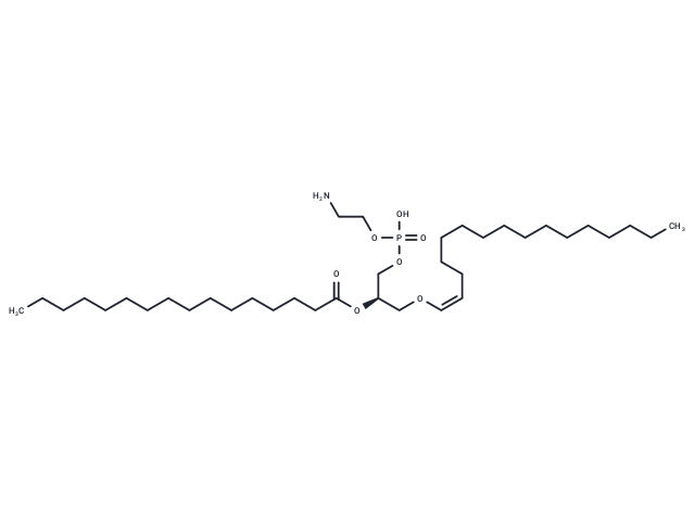 化合物 1-1(Z)-Hexadecenyl-2-Palmitoyl-sn-glycero-3-PE|T85054|TargetMol