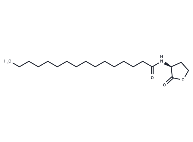 N-hexadecanoyl-L-Homoserine lactone|T37741|TargetMol