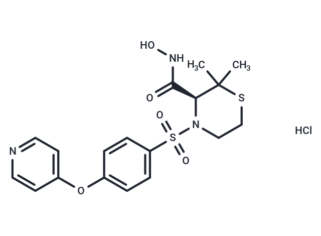 化合物 Prinomastat hydrochloride|T12539|TargetMol