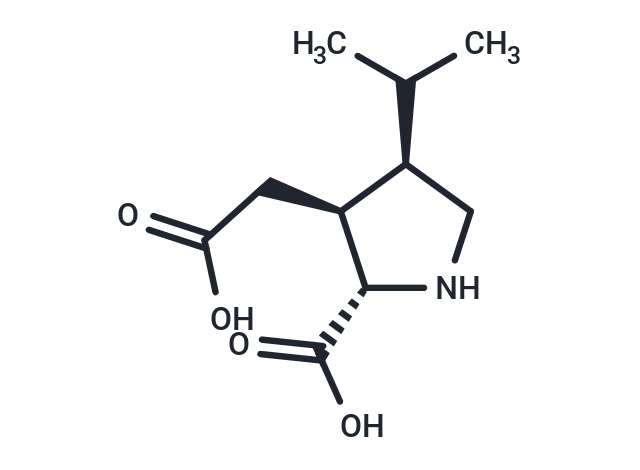 化合物 Dihydrokainic acid|T22722|TargetMol