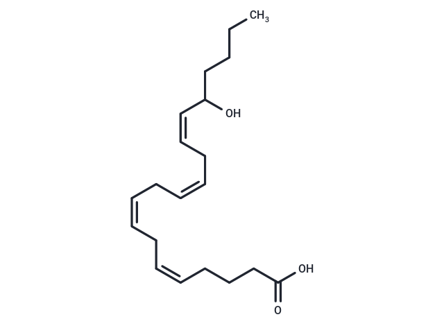 (±)16-HETE|T35465|TargetMol