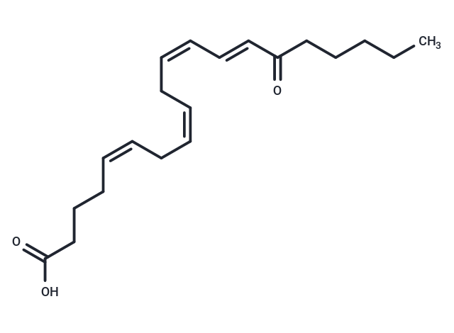 15-OxoETE|T35945|TargetMol