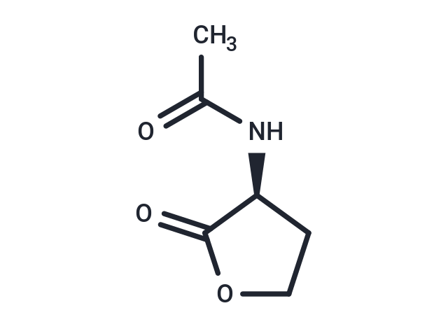 Acetyl-L-Homoserine lactone|T38300|TargetMol