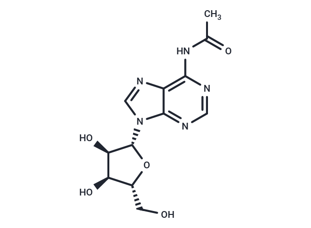 化合物 N6-Acetyl adenosine|TNU0860|TargetMol