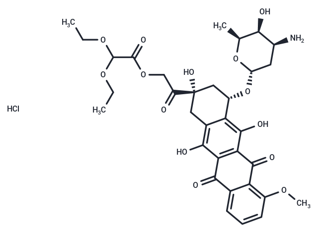 化合物 Detorubicin HCl|T68948|TargetMol