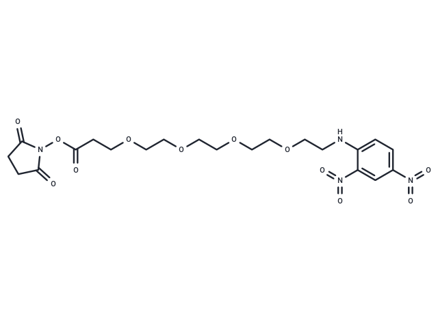 化合物 DNP-PEG4-NHS ester|T15154|TargetMol