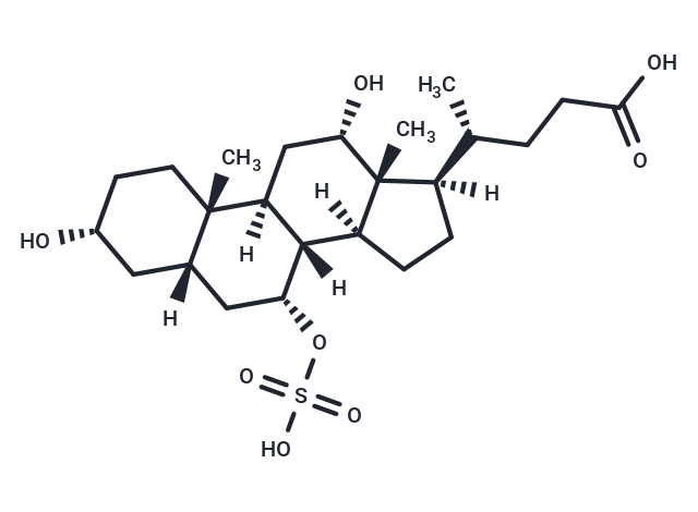 Cholic Acid 7-sulfate|T37854|TargetMol