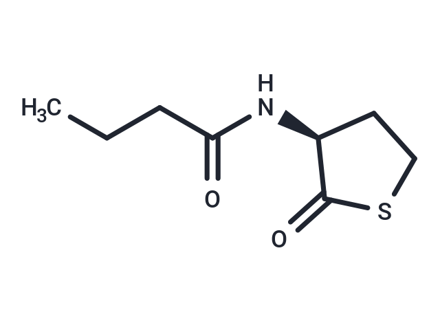 N-butyryl-L-Homocysteine thiolactone|T37342|TargetMol