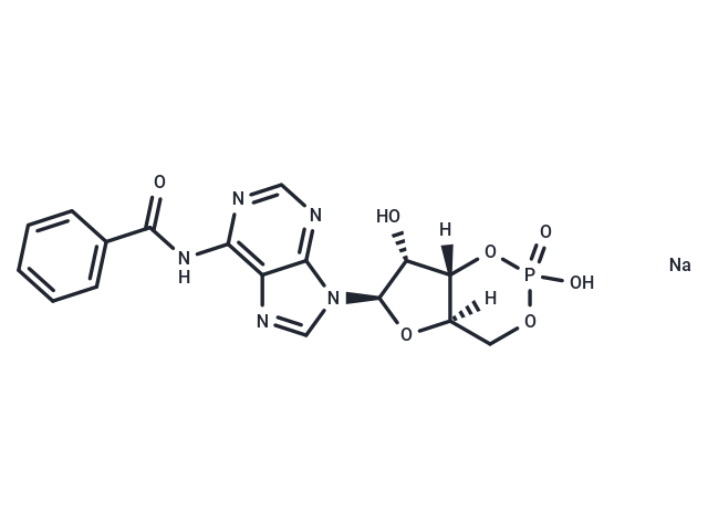 化合物 6-Bnz-cAMP sodium salt|T22529|TargetMol