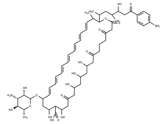 化合物 Candicidin|T25202|TargetMol