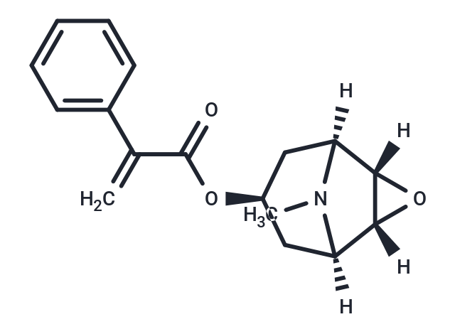 化合物 Apohyoscine|TN3434|TargetMol