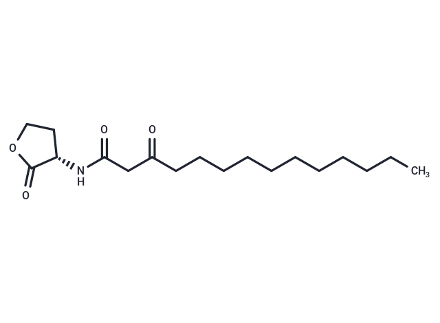 N-3-oxo-tetradecanoyl-L-Homoserine lactone|T37339|TargetMol