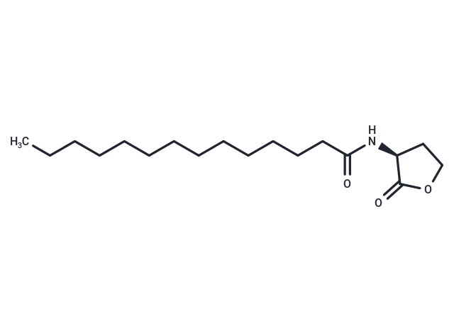 N-tetradecanoyl-L-Homoserine lactone|T37747|TargetMol