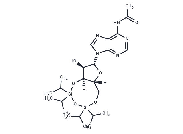 化合物 3’,5’-TIPS-N-Ac-Adenosine|TNU1200|TargetMol