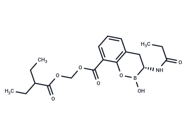 Ledaborbactam etzadroxil|T39288|TargetMol