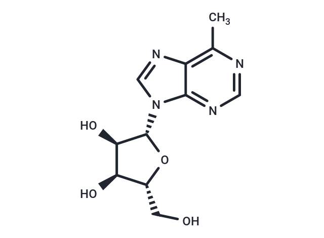 化合物 6-Methylpurine-beta-D-riboside, 6-D-MPR|TNU0008|TargetMol