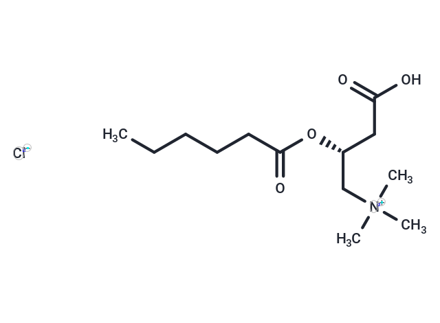 Hexanoyl-L-carnitine (chloride)|T38233|TargetMol