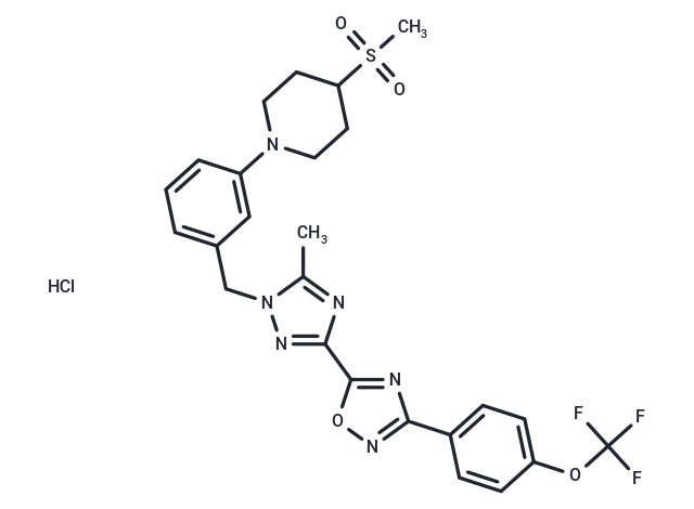 化合物 IACS-010759 hydrochloride|T27568|TargetMol