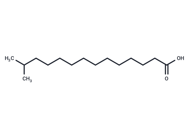 化合物 13-Methyltetradecanoic acid|T27807|TargetMol