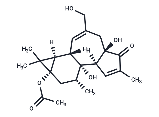 化合物 Prostratin|T21441|TargetMol