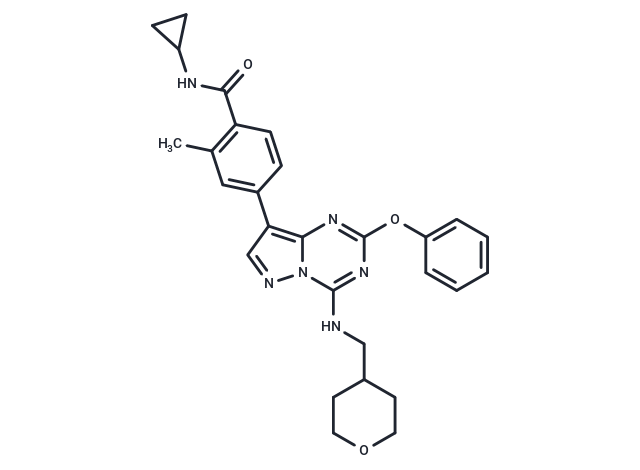 化合物 CFI-401980|T30805|TargetMol