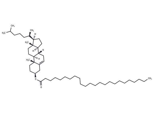 Cholesteryl Lignocerate|T37853|TargetMol