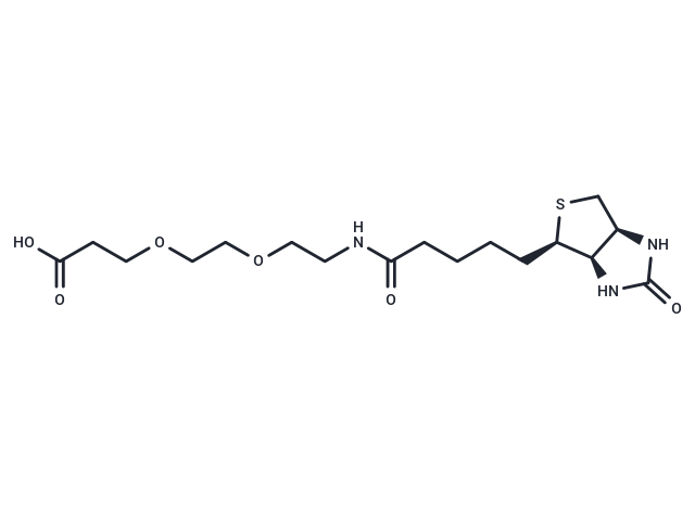 化合物 Biotin-PEG2-acid|T14582|TargetMol