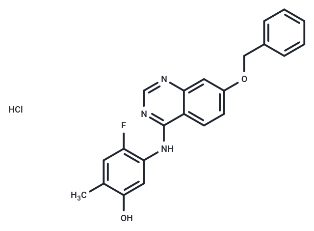 化合物 ZM 323881 hydrochloride|T1991|TargetMol