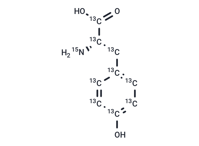 L-Tyrosine-13C9,15N|T36384|TargetMol