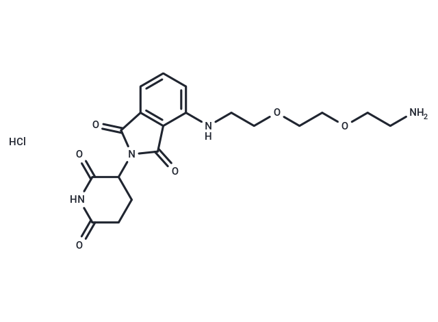 化合物 Thalidomide-PEG2-C2-NH2 hydrochloride|T18811|TargetMol