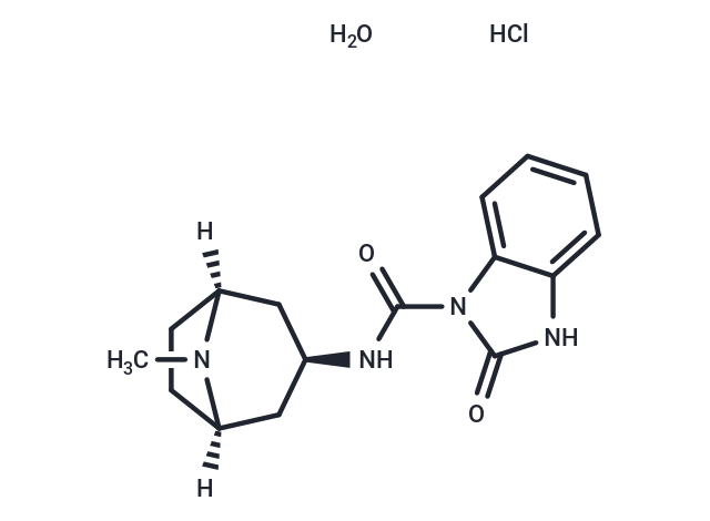 化合物 Itasetron hydrochloride monohydrate|T70804|TargetMol