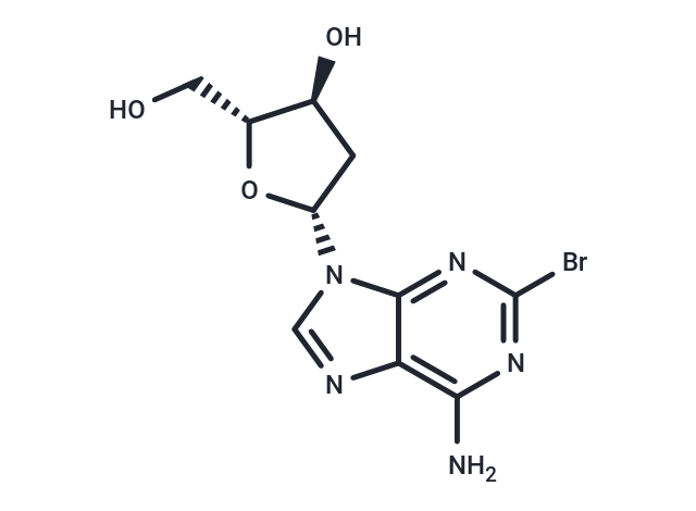 化合物 2-Bromo-2’-deoxyadenosine|TNU1074|TargetMol