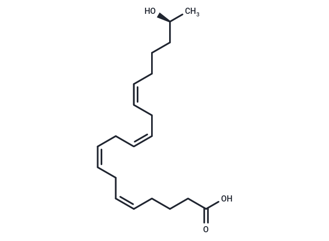 19(S)-HETE|T35850|TargetMol